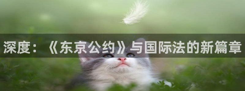 拷贝漫画2.2：深度：《东京公约》与国际法的新篇章