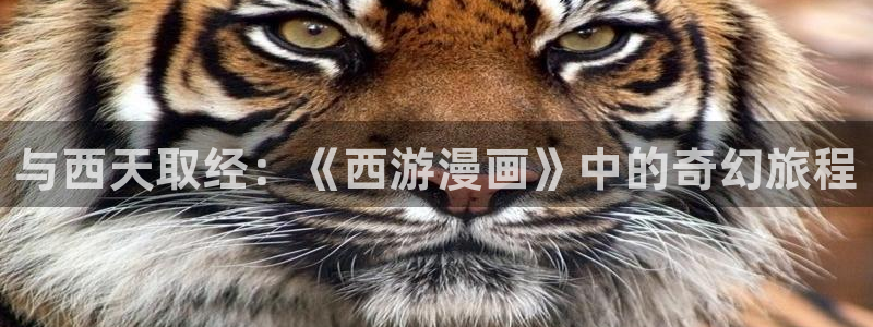 拷贝漫画平台：与西天取经：《西游漫画》中的奇幻旅程