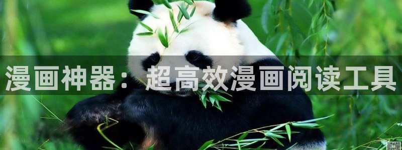 拷贝漫画copymanager网页版：漫画神器：超高效漫画阅读工具
