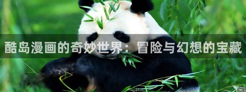 copy 漫画：酷岛漫画的奇妙世界：冒险与幻想的宝藏
