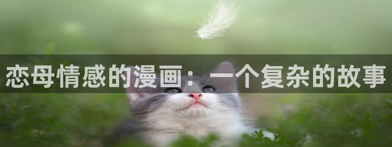 拷贝漫画第三方版：恋母情感的漫画：一个复杂的故事